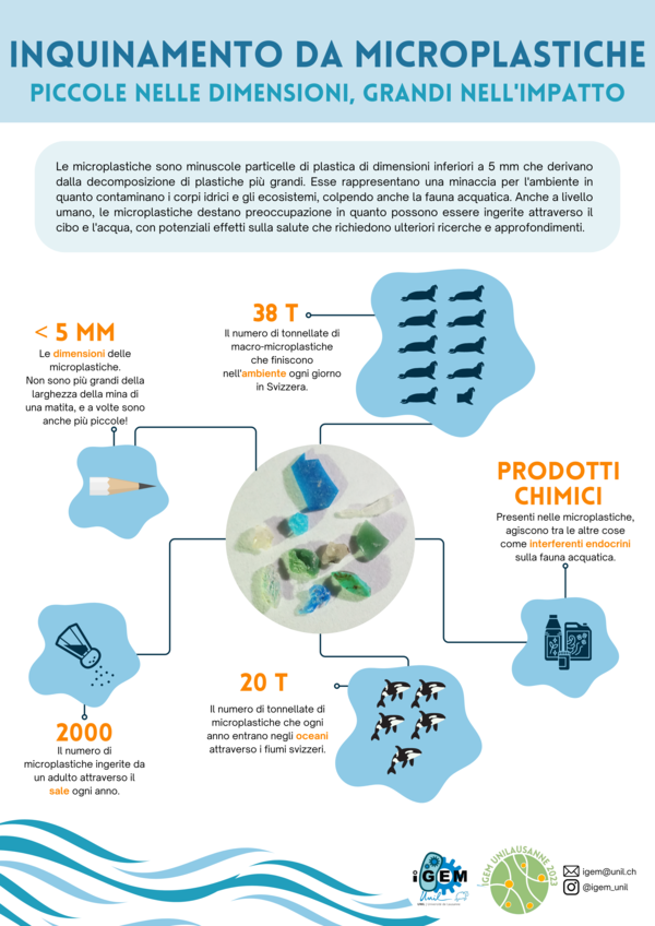 Pollution-microplastiques-it