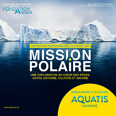 [Translate to English:] Mission Polaire